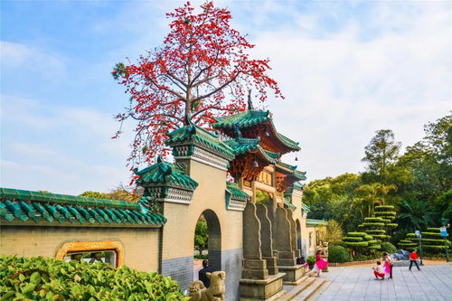 沈阳中山公园，城市绿意与历史的交织探访（百度收录）