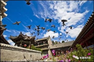 老君岩探秘，千年古韵之旅，自然人文之美全攻略