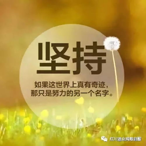 骨折后的励志心声，重塑生活，勇气与信念并存