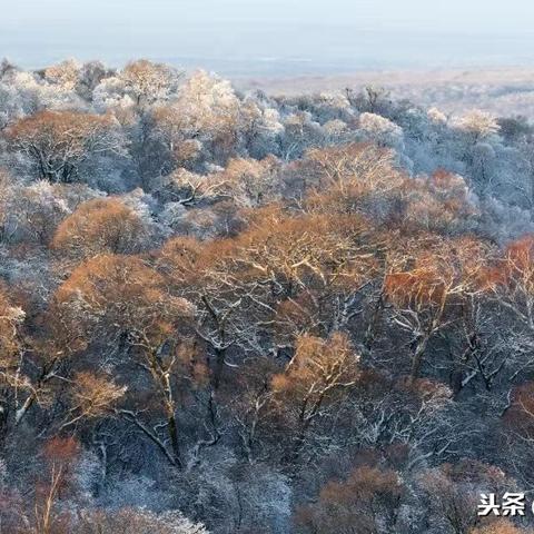 哈尔滨安宁区城市发展与民生改善同步前行，最新新闻头条抢先看！