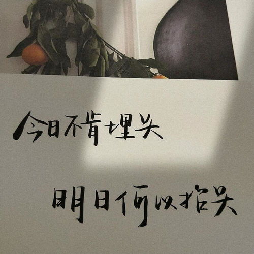 陪伴语录励志文案，工作中的力量源泉与温馨陪伴