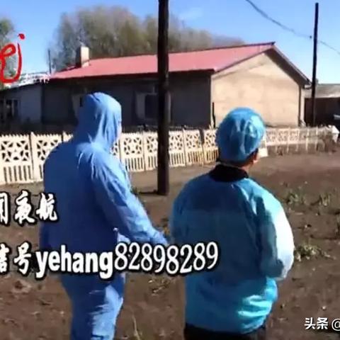 揭秘电工劳保防护服，全方位守护安全，每一刻都在守护您！