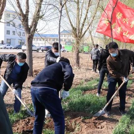 冀东物流公司排名揭晓，探寻区域物流行业的领军者