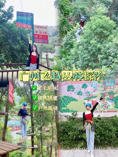 广州森林之旅的神秘奥秘与魅力攻略