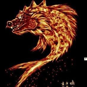 印度神兽风采，惊艳前十排名图片展示