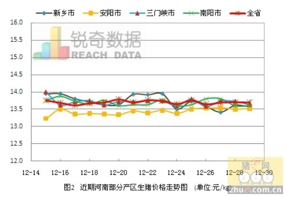 河南红苕价格走势揭秘，最新分析报告来了！