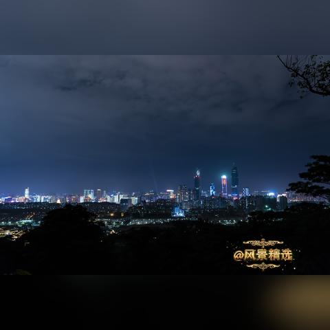 越鸟南栖