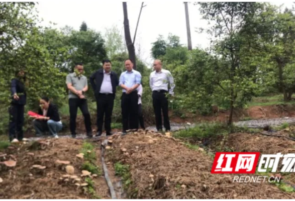 双峰区林下镇热点新闻速递