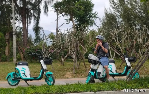 贵险贱璧