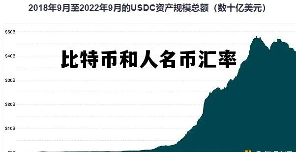 尔格币最新动态与汇率解析，深度探讨市场趋势及前景分析
