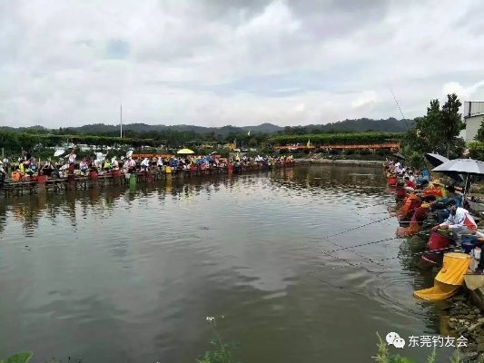 大物塘钓场垂钓盛宴揭秘，最新消息一网打尽！