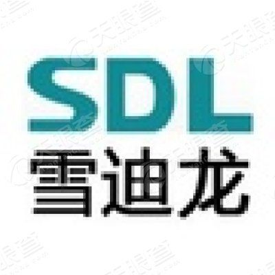雪迪龙公司全球排名揭晓，探究背后的成功秘诀与传奇故事！