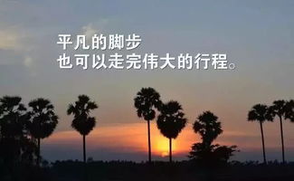 励志情感语录，点亮心灵的明灯。