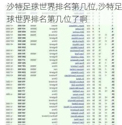 沙特冠军世界排名解析，探寻背后的秘密
