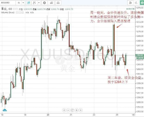 今日头条SPF最新价格曝光，揭秘最新价格走势！