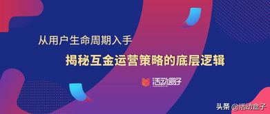 拳头公司广告策略排名揭秘，探寻广告策略之巅的秘密！