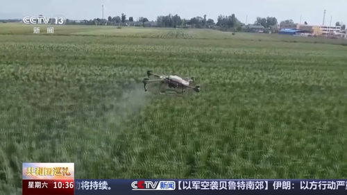 镇平现代农业探索，种田新闻头条揭秘新篇章