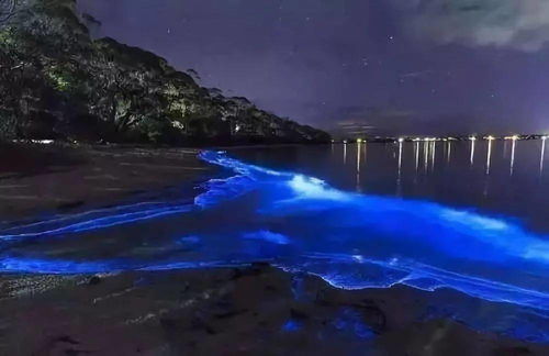 全球河流排名TOP10，探寻蓝色星球的流动之美