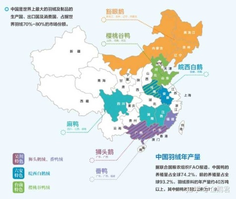 全球鹅绒产业繁荣之源揭秘，鹅绒之乡排名与产业源头探寻