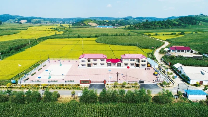 东丰新闻聚焦，县域发展活力之源探寻