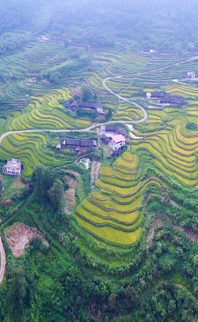 东安梯田旅游攻略，探访绝美田园风光，尽享自然盛宴！