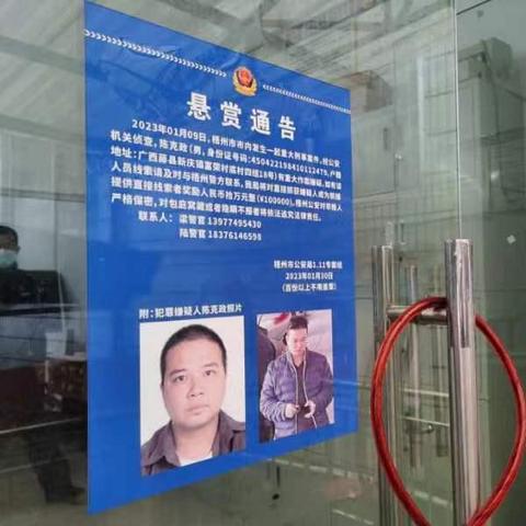 梧州最新通告揭秘，城市动态与发展展望