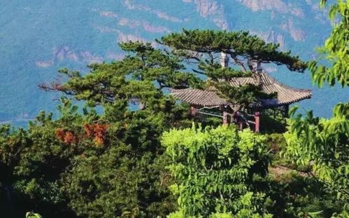 北京香山最新旅游攻略，探索指南带你畅游胜地！