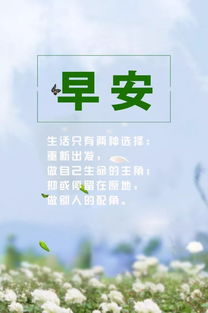 眼科护士心声，坚守光明之路，励志语录激励人心