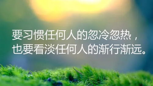 平井桃励志语录，青春燃烧，勇往直前不止步！