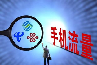 桥洞下的新闻头条，城市边缘的别样生活观察