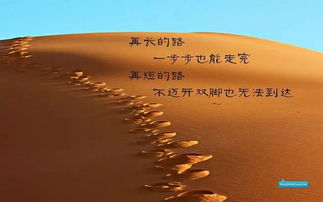 创业励志语录携手团队共创辉煌时刻