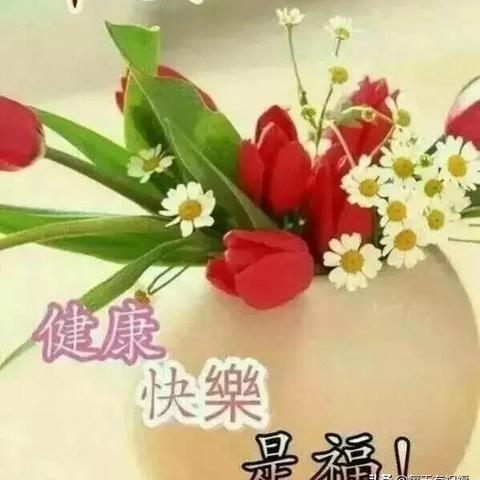 励志短句的力量，激发潜能，倾听心灵之声