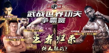 世界功夫巅峰排名榜，揭秘武术界强者之巅！