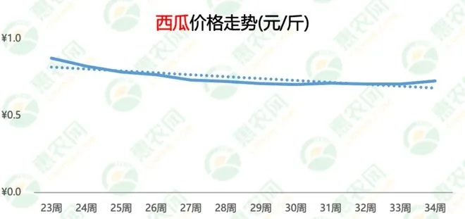 今日宜城西瓜行情大解析，品质、价格与市场走势一网打尽