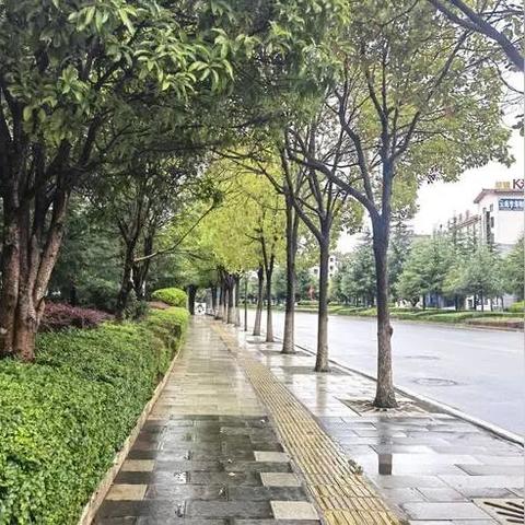 永胜暴雨预警！全城紧急应对，新闻头条实时更新！
