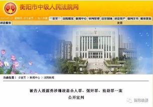 衡阳栗江地区最新新闻头条，深度探索与解读