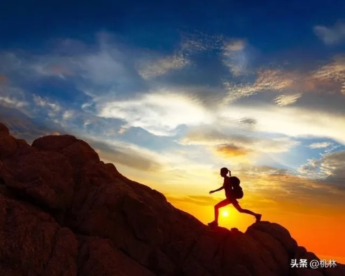 励志创业，坚持的力量与信念之光照亮前行路