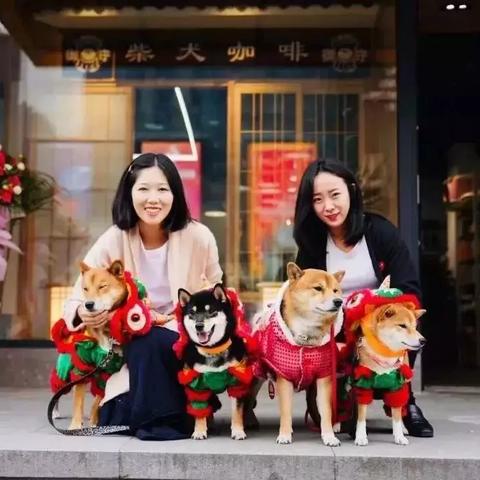 励志加油站，辞职前的勇气与决心！