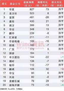 揭秘招行基金公司排名，投资领域的明星之选！