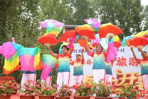 官地镇最新发展动态，揭秘小镇崭新面貌