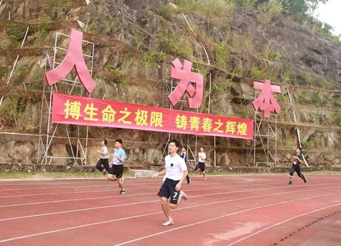 赛场风云揭秘，今日战意分析最新动态，洞悉未来走向预测