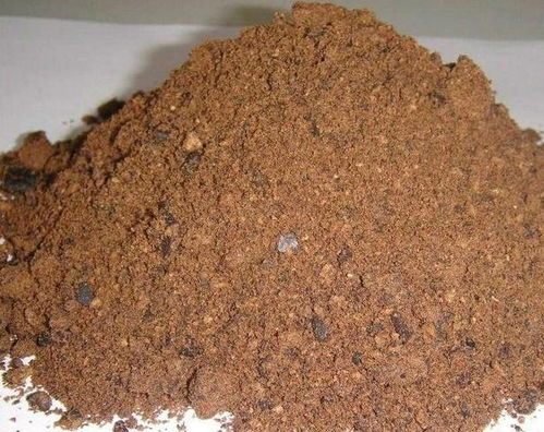 唐山棕榈粕价格今日行情更新，最新市场动态解析
