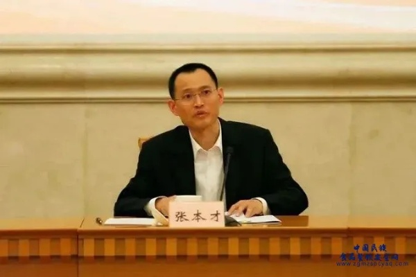 揭秘张本疆背后的故事，新闻热点一网打尽！