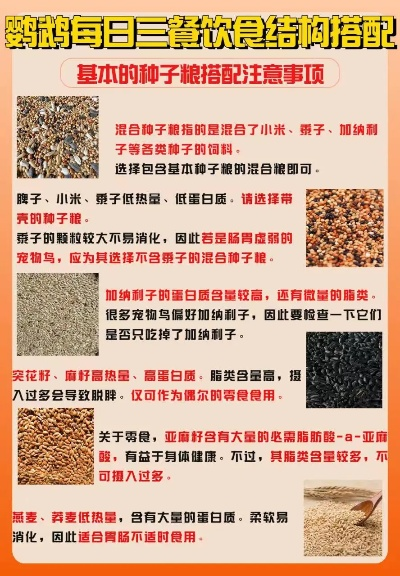鸟饲料前十排名揭秘，如何选择营养丰富的鸟类饲料