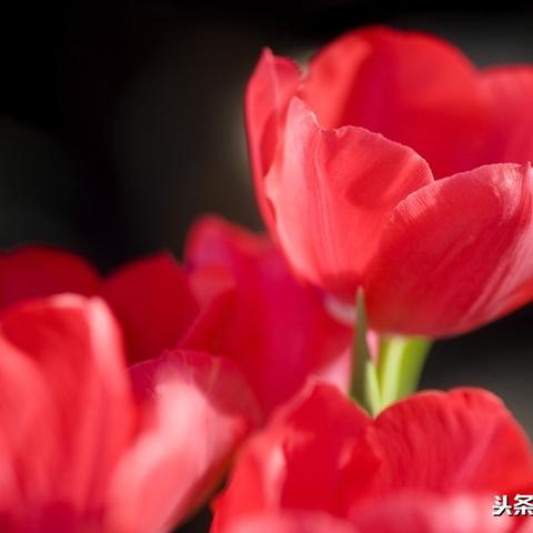 超A励志语录，激发无限激情，成就非凡人生之路