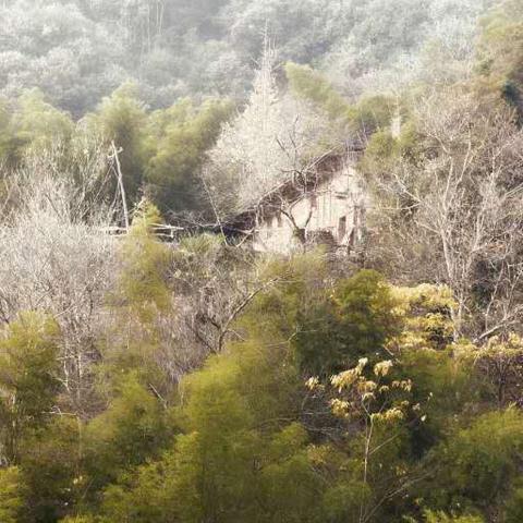平江龙门新闻揭秘地区发展新篇章