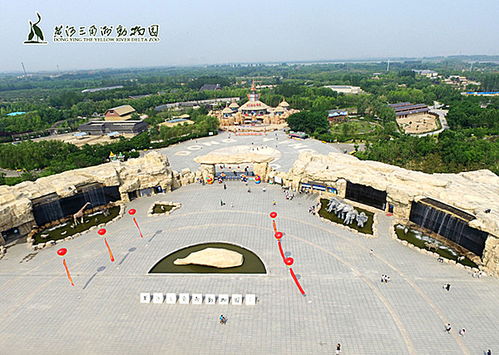 广州飞往东营，最新旅游攻略精选