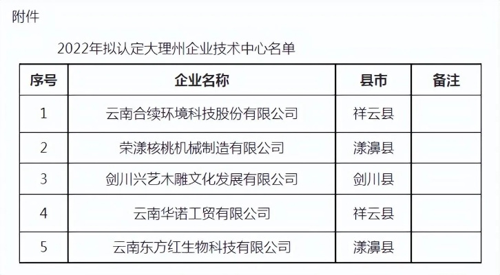 大理监控公司排名及行业影响力剖析