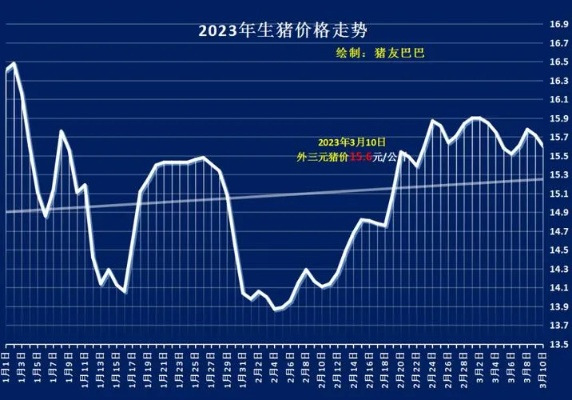 今日猪价深度解析，最新行情与趋势分析