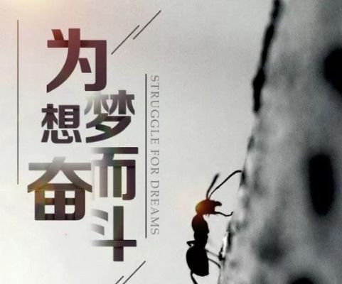 上海肖邦员工励志语录，奋斗、梦想与坚持的力量，激发无限潜能！